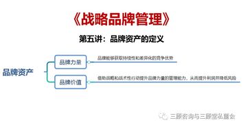 戰(zhàn)略品牌管理 構(gòu)建持久競(jìng)爭(zhēng)優(yōu)勢(shì)的核心