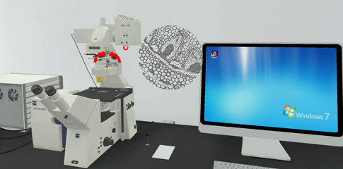北京歐倍爾激光掃描共聚焦顯微鏡虛擬仿真軟件 設備、功能與教學價值