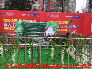 江西石城當(dāng)?shù)匮蝰剟?dòng)物出租公司