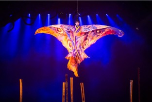 西雙版納旅游怎么樣