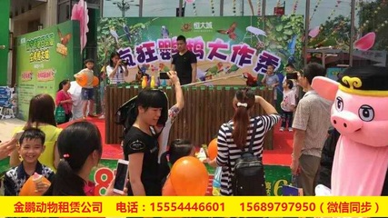 哪有呆萌馬戲團(tuán)表演出租赤壁市_山東金鵬動(dòng)物租賃 - 商國互聯(lián)網(wǎng)