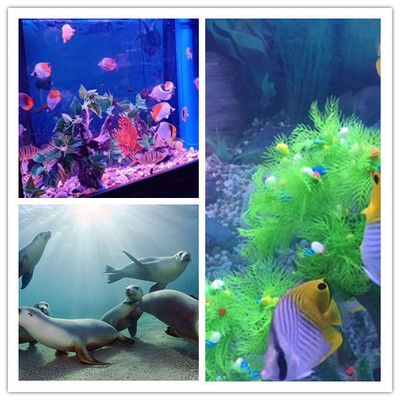 宜州馬戲團表演出組萌嗨全場