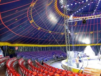 馬戲團表演 正規(guī)雜技馬戲團