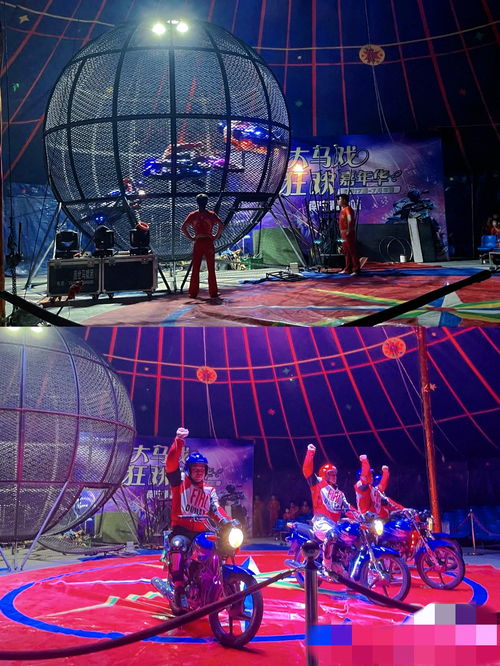 熱度推薦 黃岡市出租雜技馬戲團2023更新中