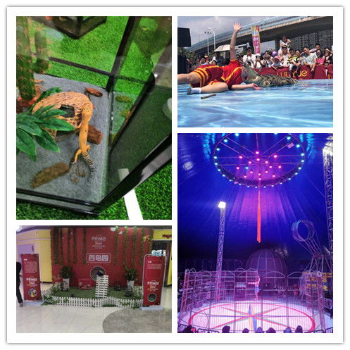 親子互動馬戲團表演出租抓緊預(yù)定租賃馬戲團表演