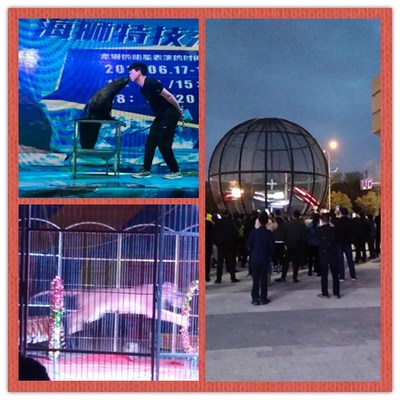 勝凱|動物出租|馬戲團表演出租|魚缸展|環(huán)球飛車|馴鹿出