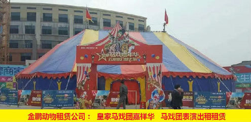 黃石市馬戲團(tuán)表演出租 人員雜技表演動(dòng)物展覽