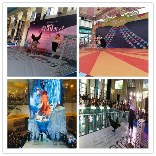 黃驊鸚鵡出租表演哪里有萌寵表演