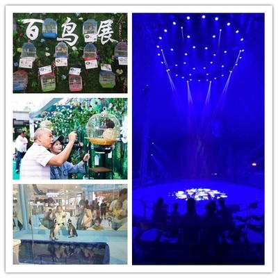 湖北棗陽市雜技表演出租馬戲團(tuán)萌寵