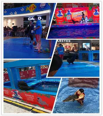 臺(tái)州馬戲團(tuán)表演多少錢合作的模式