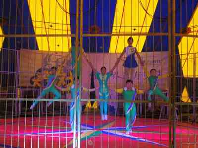 金華馬戲團表演出租團隊聯系電話資源