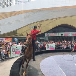 固始縣外籍馬戲團(tuán)表演出租檔期有沒有