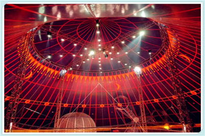 皇家馬戲團(tuán)表演表演多少錢南昌