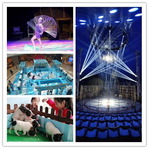 慈溪市馬戲團(tuán)表演出租什么地方有