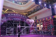 深圳哪里有馬戲團(tuán)演出馬戲團(tuán)表演廠家|供應(yīng)商|公司_一呼百應(yīng)移動站