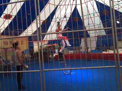 馬戲團(tuán)大型馴獸表演出租 皇家大馬戲活動(dòng)方案租賃