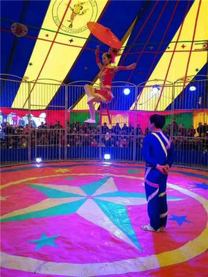 地產(chǎn)開盤暖場(chǎng)大馬戲團(tuán)表演出租咨詢預(yù)定