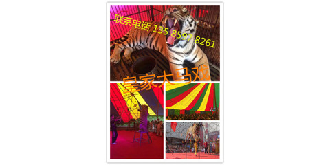 哪里有馬戲團(tuán)表演出租