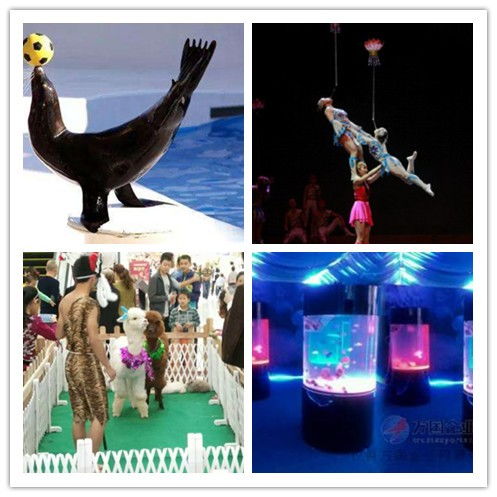 海門馬戲團(tuán)百鳥園展覽出租價格明細(xì)