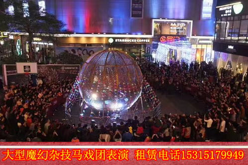 出租海獅表演馬戲團(tuán)演出動物表演浙江省嵊州