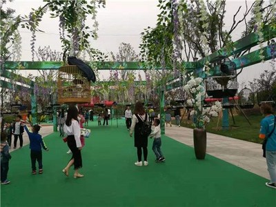 遼寧省本溪出租各類萌寵動(dòng)物展