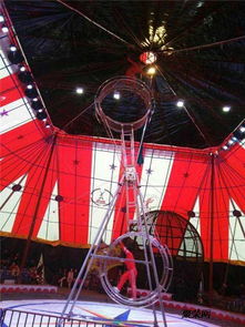 馬戲團(tuán)表演出租暑假更優(yōu)惠