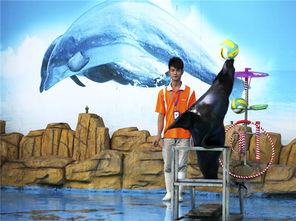 蘇州馬戲團(tuán)租賃活動商業(yè)演出選擇