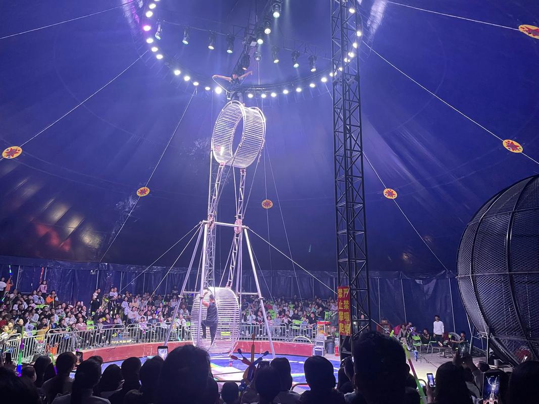 宣城高空雜技#動物表演哪里有和馬戲團(tuán)合作分成比例水上飛人表演