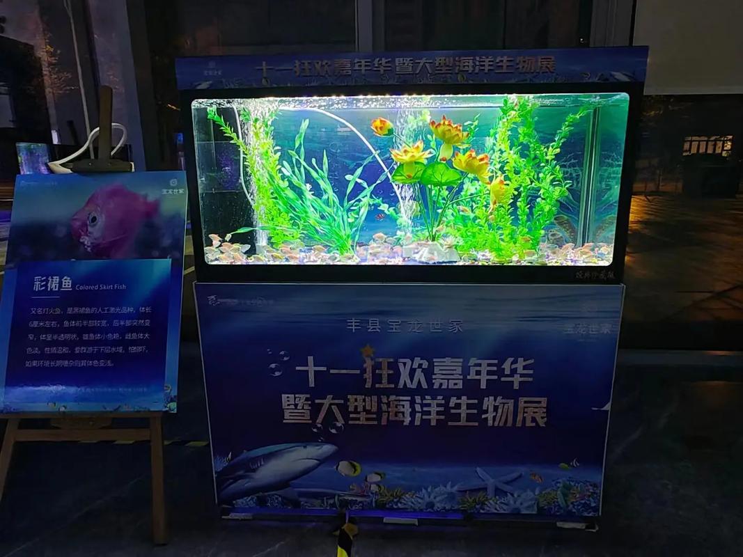 專業動物出租服務 馬戲團表演、海獅與羊駝租賃解決方案